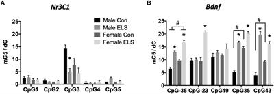 Cross-Generational Transmission of Early Life Stress Effects on HPA Regulators and Bdnf Are Mediated by Sex, Lineage, and Upbringing